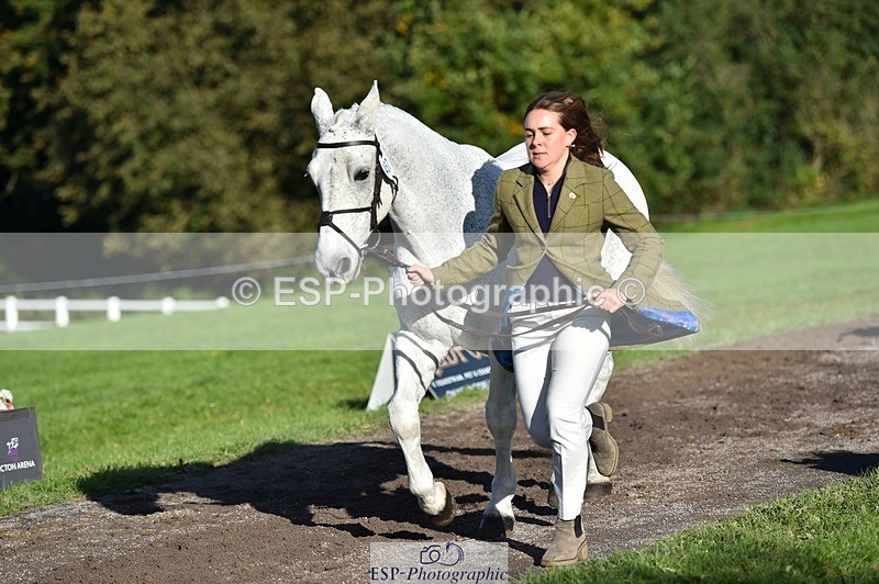 231022-103430-22576 - 457-KILLOUGHTER.GOLD.DUST-Olivia.McDonald-TrotUp+SJ