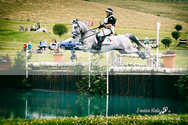 _LES0134atoy - Equestrian