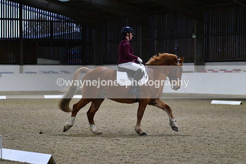WJ5_8618 - Class 5 Novice Test 3