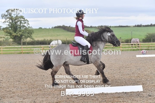 BPP_9903 - PRELIM 3