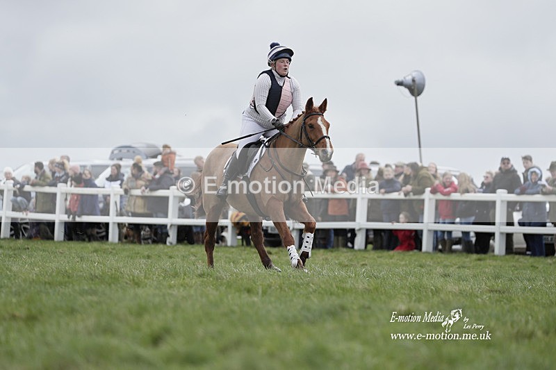 PtP 260323 0292 - New Forest Hounds Point-to-Point Larkhill 26/03/23