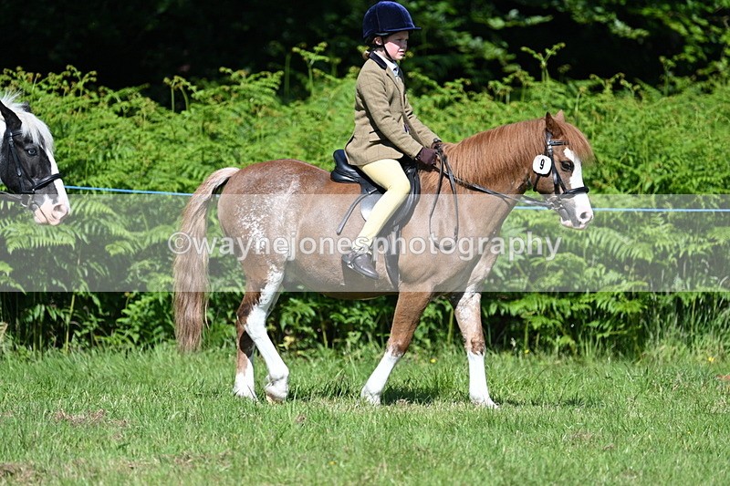 WJ7_0741 - Class 8 First Rally Pony