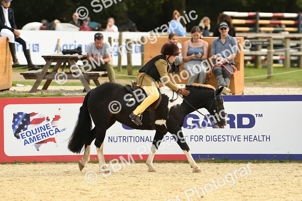 SBM_71135 - J15 - Junior Pony 70cm Championship