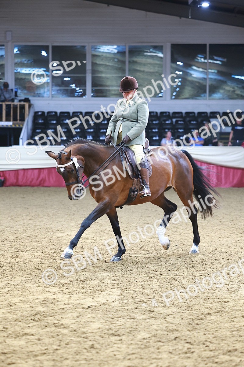 SBM_23377 - class 906 - Supreme Final - Ridden Pre Vet