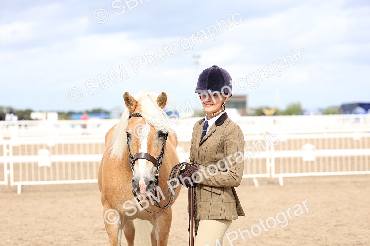 SBM_03957 - Class 25 - IH Foreign Breeds - Pure Bred