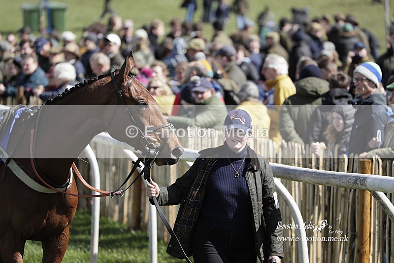 PtP 100423 480 - Old Berkshire Point-to-Point Lockinge 10/04/23
