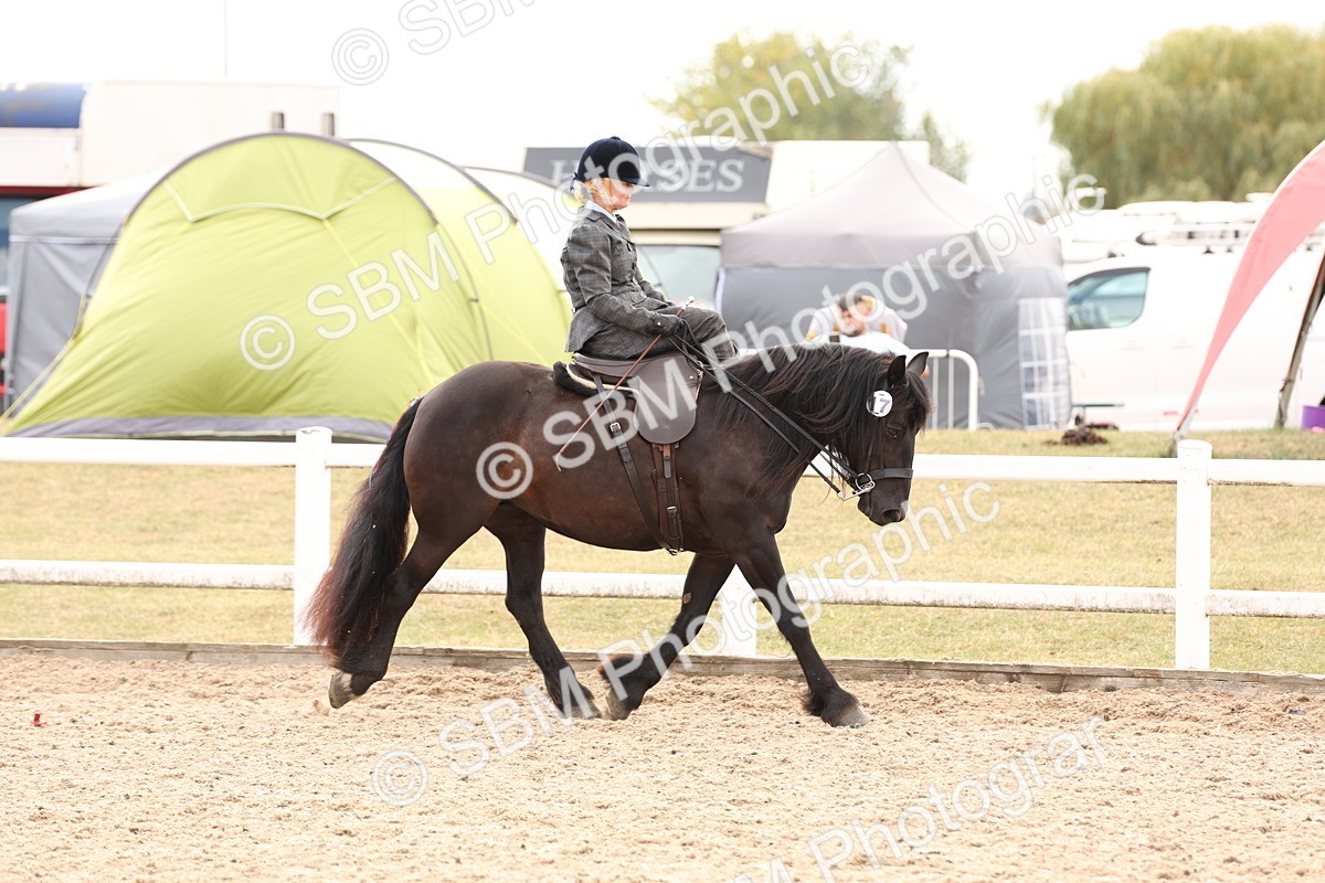 SBM_16388 - Class 211 - Best Side Saddle Horse - Pony