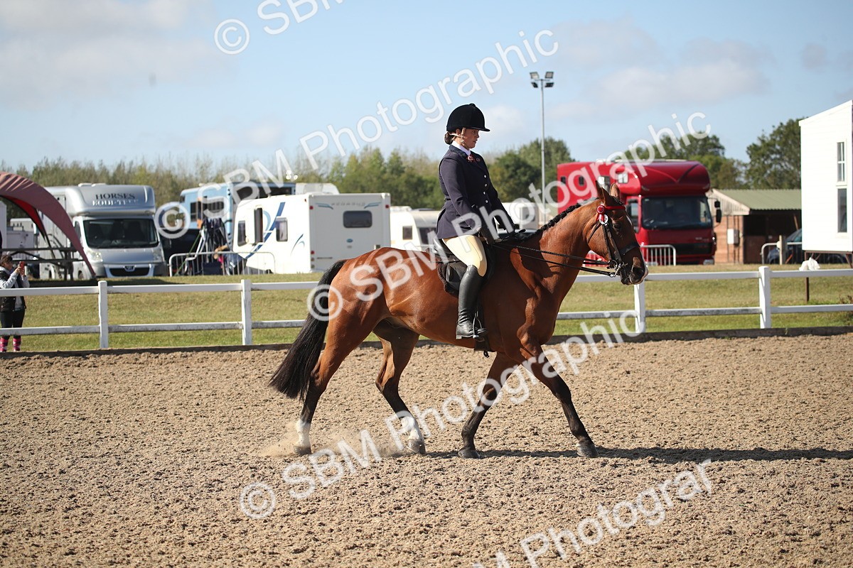 SBM_22791 - Class 602 - 2026 Area - Ridden Veteran
