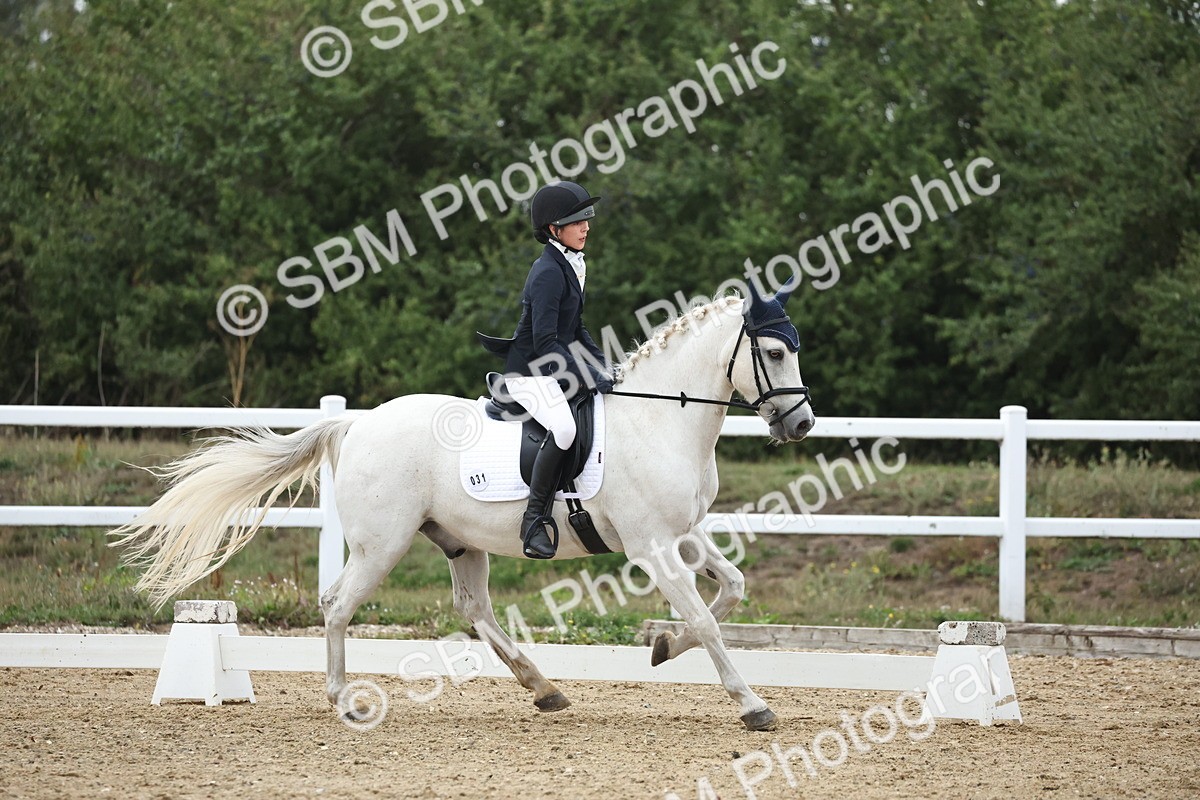 SBM_004245 - Class 8 - Novice 3 Champs