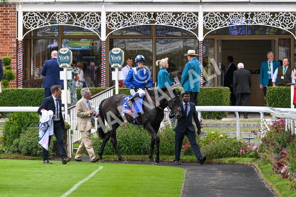 270724-Race 1-Alflaila-7066 - Race 3 3.15pm Sky Bet York Stakes