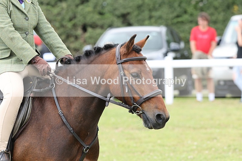 JPP_1938 - Class 18: Tiny Tots Working Hunter Pony