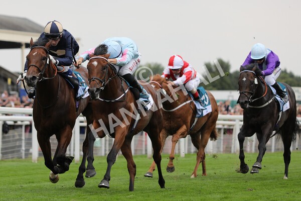 yr18082022r6-32 - Race 6 4.45 pm OR8wellness ebfstallions Nursery Handicap