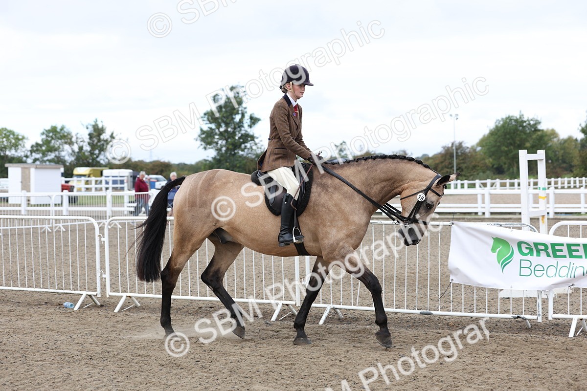 SBM_01469 - Class 52 - Ridden Veteran