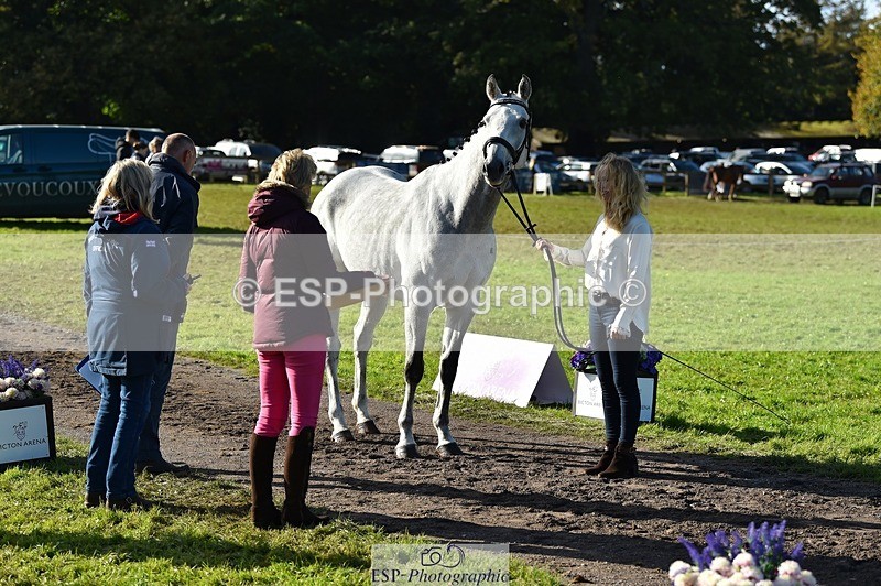 231022-112228-23918 - 557-KILBALLYBOY.SURPRISE-Courtney.Romcke-TrotUp+SJ