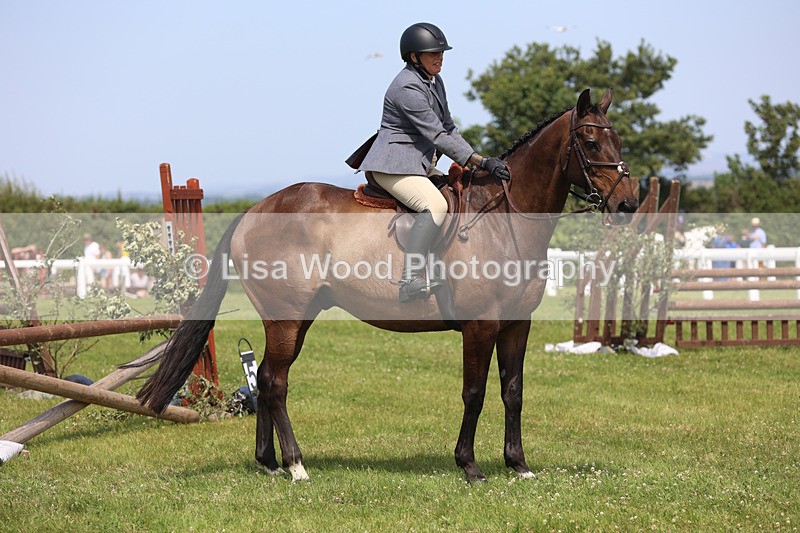 JPP_3452 - Class 22: Working Hunter 70cm
