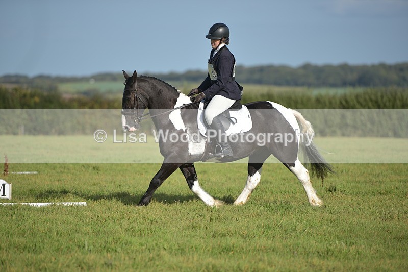 RAY_7317 - Class 2B: Trekenning Open: Dressage
