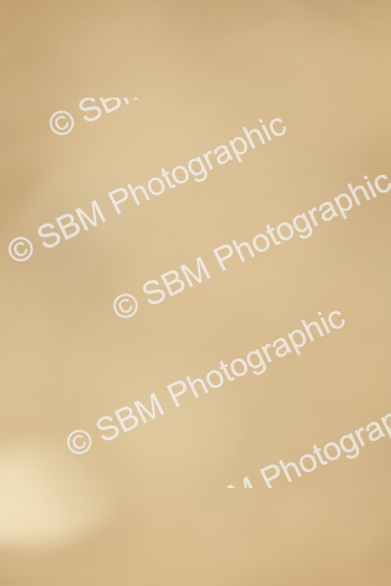 SBM_019484 - Class 21 - jump offs