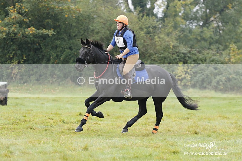  WWHT 171021 0894 - Open Novice (0.80m)  17/10/21