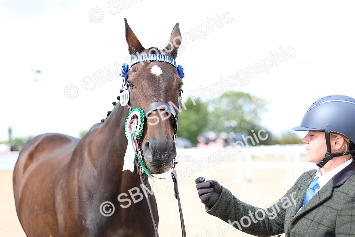 SBM_15301 - Class 313 - IH Retired Racehorse