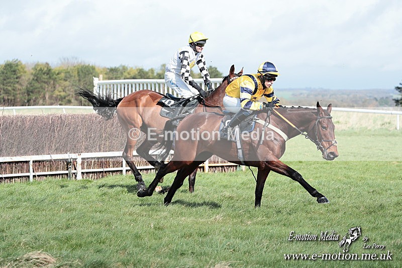 PtP 230324 262 - Tedworth Hunt PtP Larkhill Raccourse 23rd March 2024