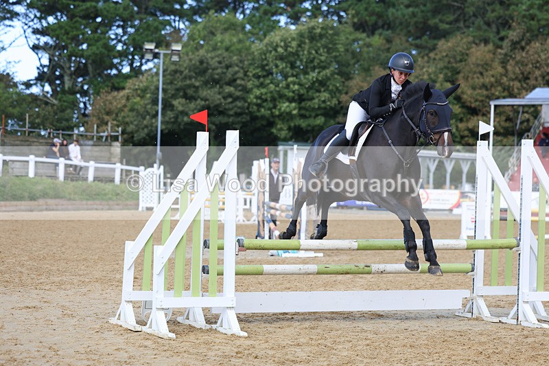 3E7A9212 - Class 9: Senior British Novice/90cm open