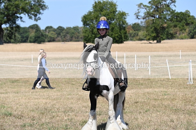 WJ6_9025 - Class 38 Ridden Riding Horse/Pony