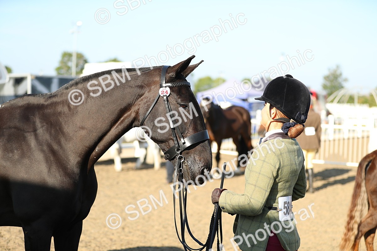 SBM_00039 - Class 40 Best Turned Out IH