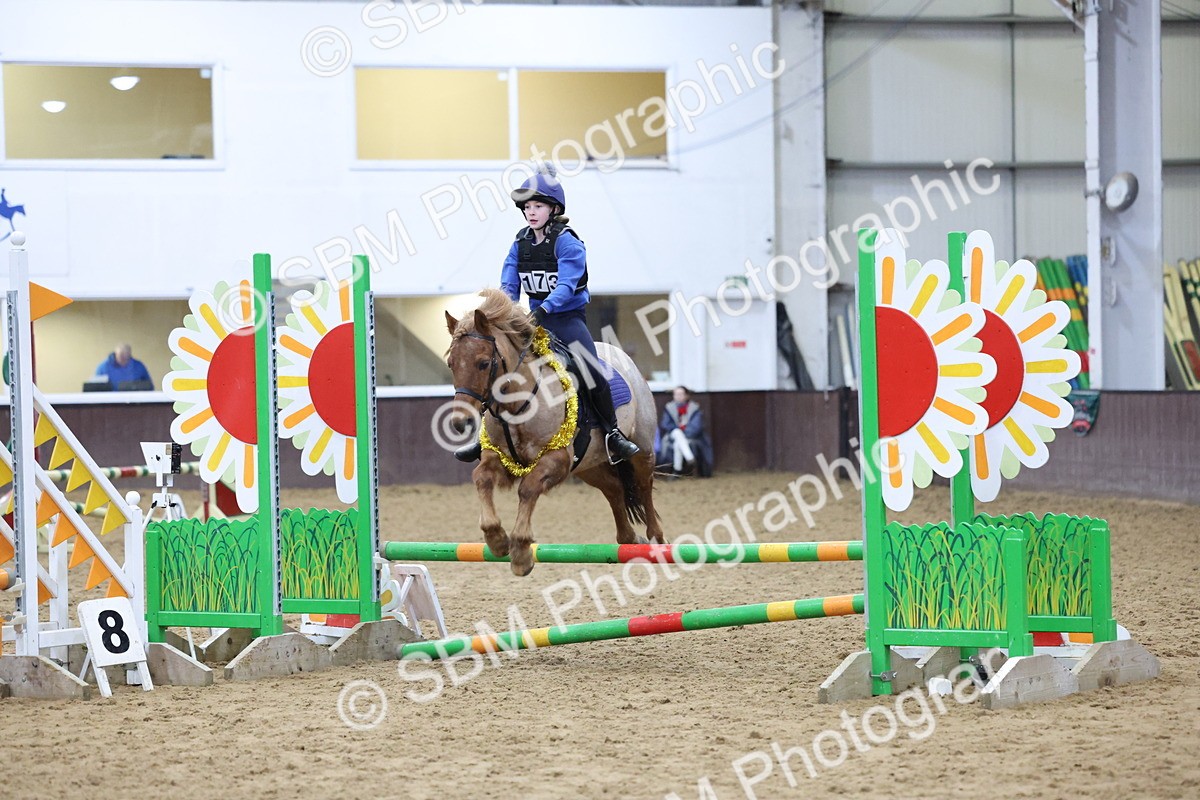 SBM_001083 - Class 3 - Christmas Tree Stakes - 60cm