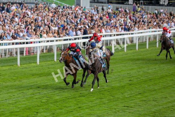 260724-Race 3-Elsies Ruan-4031 - Race 3 6.40pm Ire-Incentive, It Pays To Buy Irish EBF Restricted Novice Stakes