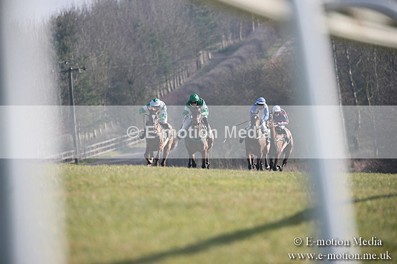 PtP 230219 339 - Vine & Craven Point-To-Point - Barbury 23/02/19