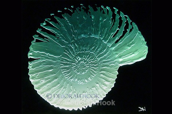 Amonite - Glass