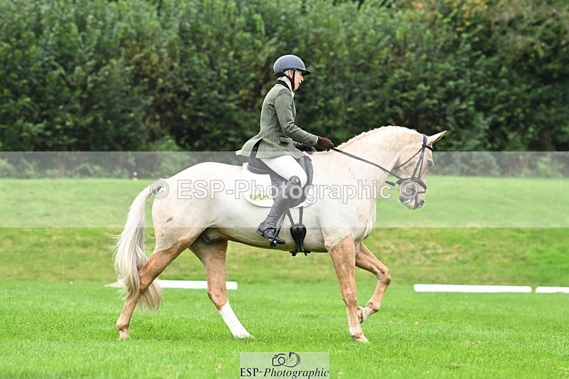 241024-125210-03539 - 519-Jane.Rogers-CORRIEVIEW.MERLIN.MAGIC