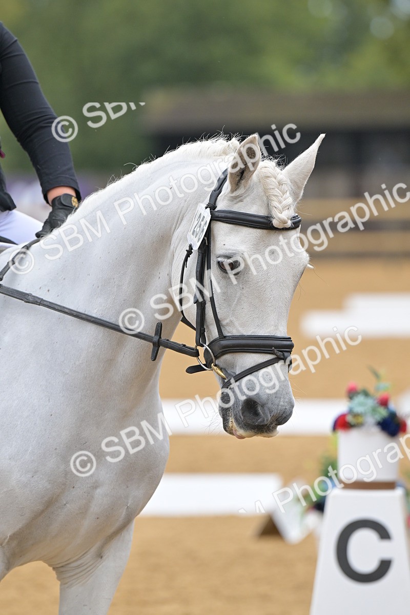 SBM_03847 - D2 - Small Tour Championship Intro 2