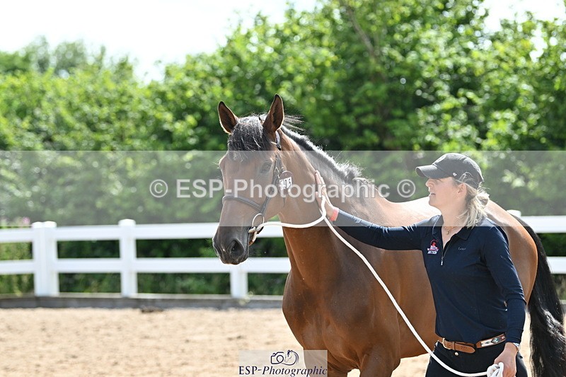 240717A-154529-03043 - Trot Up 3pm to 4pm