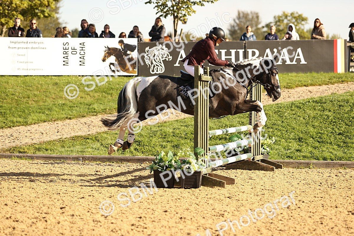 SBM_34728 - J38 - Senior 80cm Championship