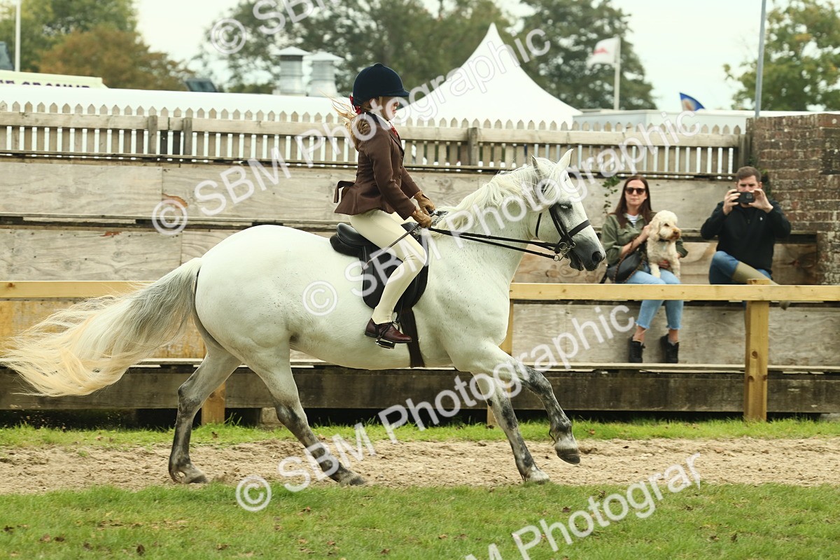 SBM_72025 - S60 - Mountain & Moorland Ridden Large Breeds