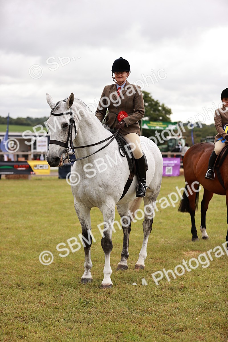SBM_10889 - Class 81-84 - RIHS Ridden hunters Inc Ladies Hunter