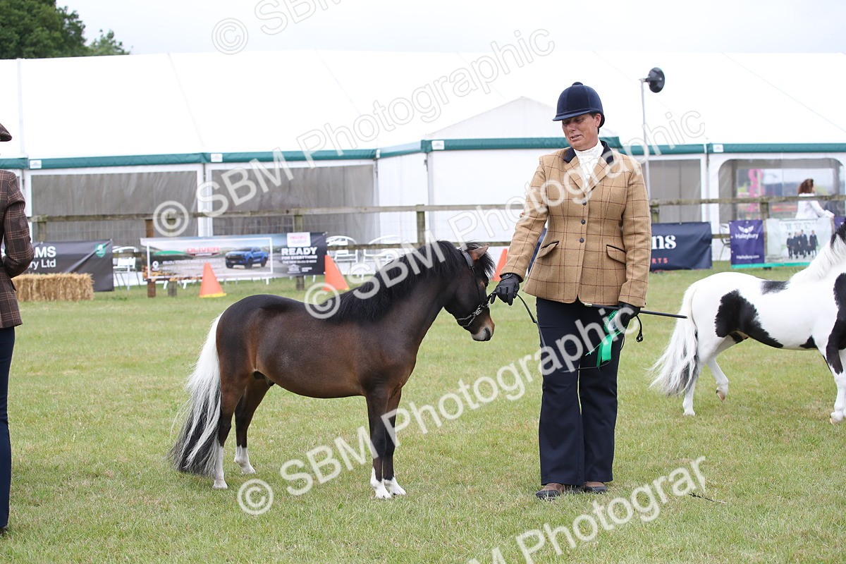SBM_03836 - Class 23-25 - British Miniature Horse of the Year