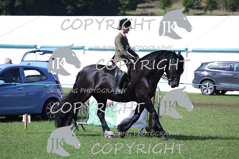 APP_3472 - Class 12 M&M ridden