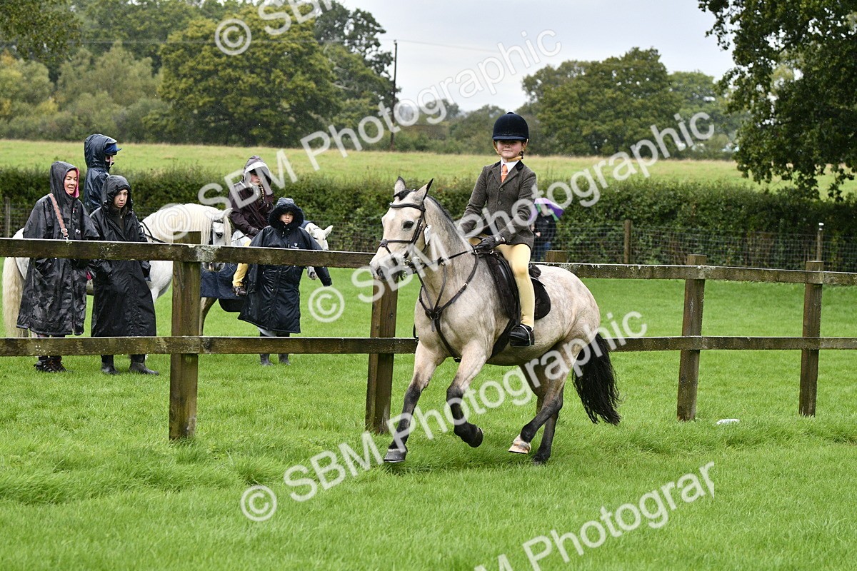 SBM_35542 - S30 - Nursery Stakes Working Hunter Pony