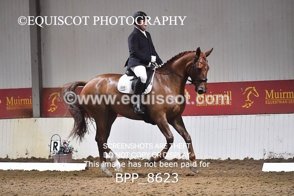 BPP_8623 - NOVICE 4 BD