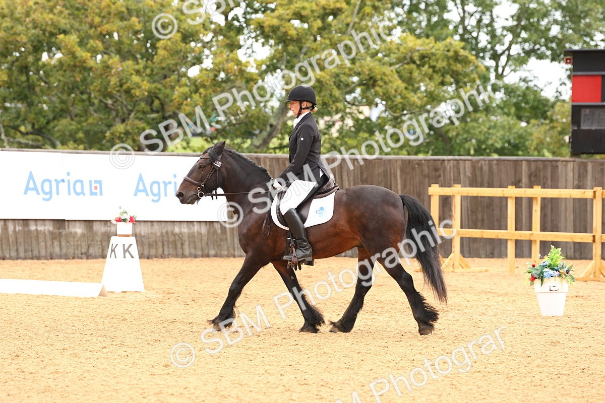 SBM_00586 - D1 - Small Tour Championship Intro 1