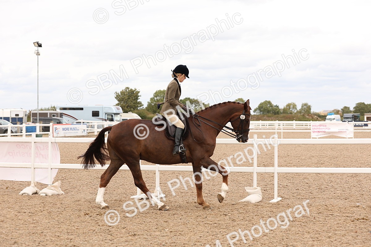 SBM_17214 - Class 213 - Ridden Hunter - Large