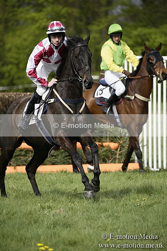 PtP 170417 268 - Old Berks Point-to-Point Lockinge 17/04/17