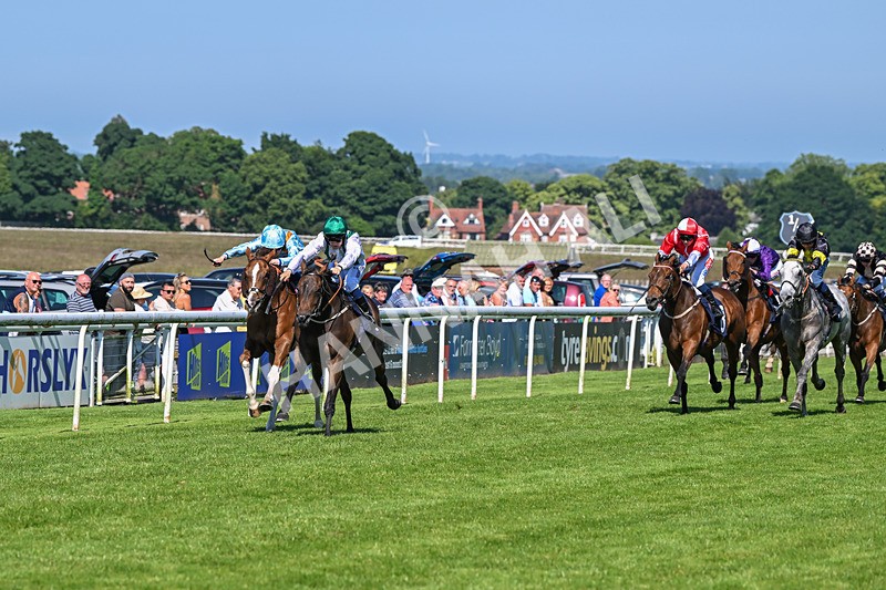 250624-Race 6-Cockalorum-5958 - Race 6