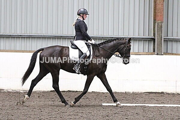 SIAL5329 - CAbin Dressage 5th july 2025