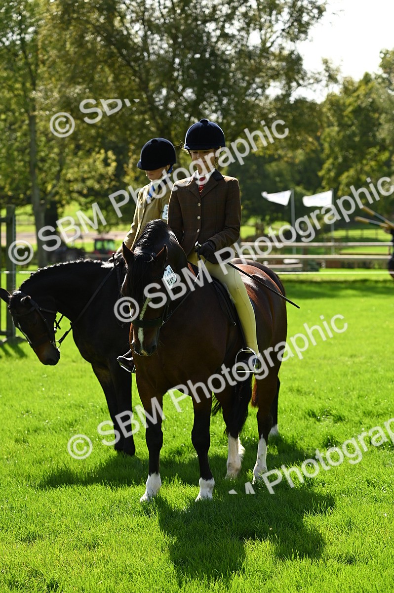 SBM_02870 - S3 - TSR Ridden Pony Showing