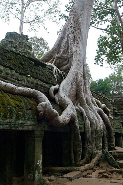  - Cambodia