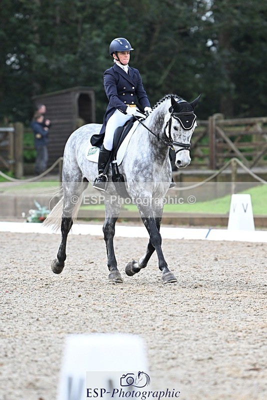 231019-094811-01218 - 028-BOLEYBAWN.COOLEY.LADY-Claire.Fielding-DR