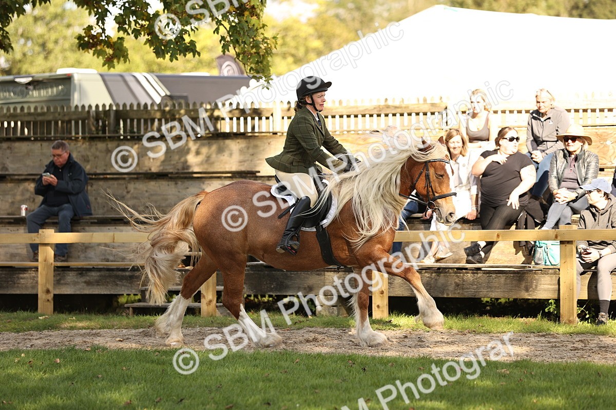 SBM_26412 - S6 - Novice & Newcomers Ridden Horse